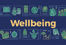 wellbeing at windsor high school and sixth form v2